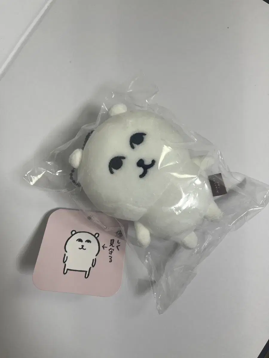 그윽한 농담곰